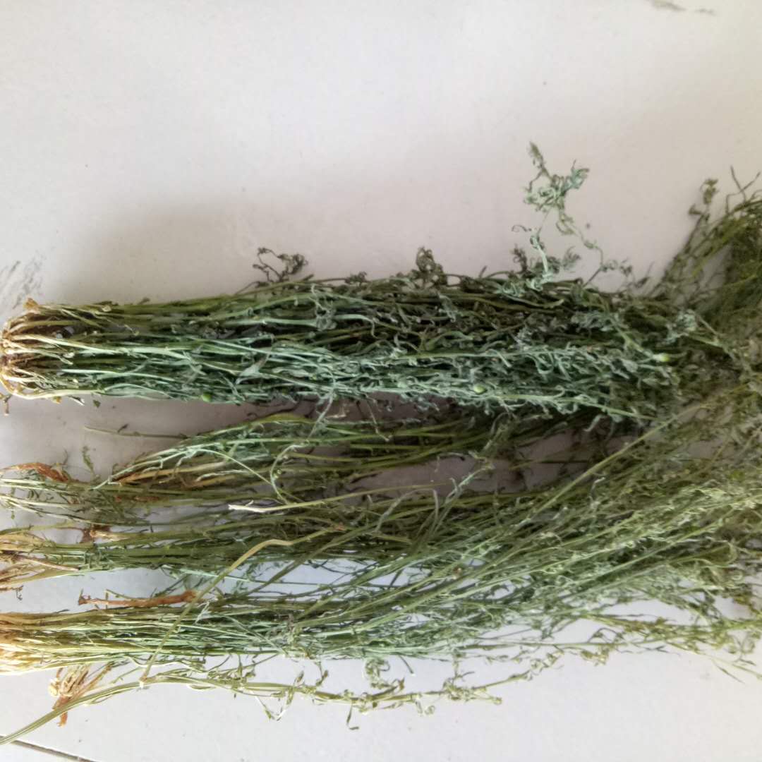 希望真诚与您合作. 绿色药材 健康人生 是我的经营理念 , 您的