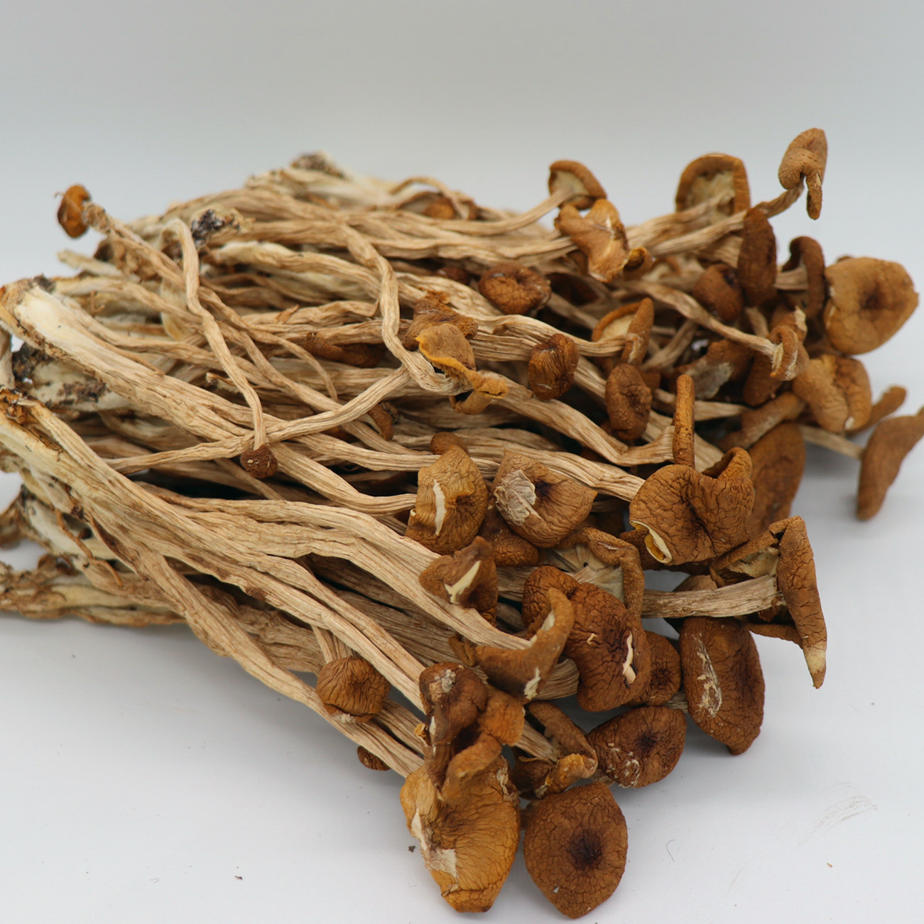 古田特产干货茶树菇农家野生小香菇不开伞煲汤食材2019新货买3送1