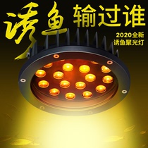 12V underwater lure fish lamp Strong light raft fishing lamp Underwater mouth yellow fishing lamp Poly fish lamp Squid lamp Poly fish lamp