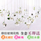 Creative suspended transparent glass vase small hanging bottle hydroe machine indoor gardening home decoration bottle plant set Creative suspended transparent glass vase small hanging bottle hydroe machine indoor gardening home decoration bottle plant set