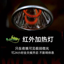 Climbing pet far-infrared heating lamp Super ceramic lamp lizard hedgehog snake honey-ladger parrot turtle feeding box heat preservation lamp