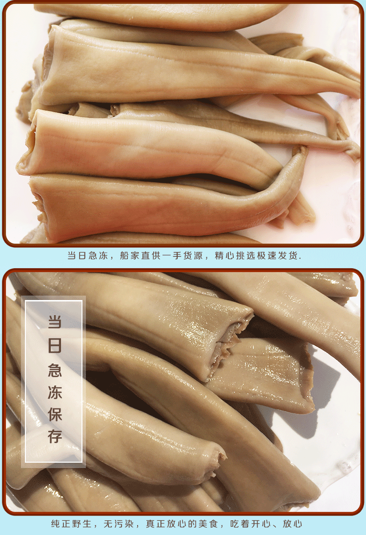 丹东东港特产海笋贝 朝鲜野生象拔蚌 海贝 冷冻海鲜 2斤装