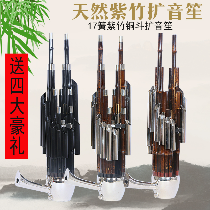 Professional Sheng Musical Instrument 17 Reed Expanded Soundtrack Sheng Wumu Sheng Jiao Professional Play Sheng 17 Spring Expanded Soundtrack Sheng Wumu Sheng Wu Jiu Sheng Jiu Sheng