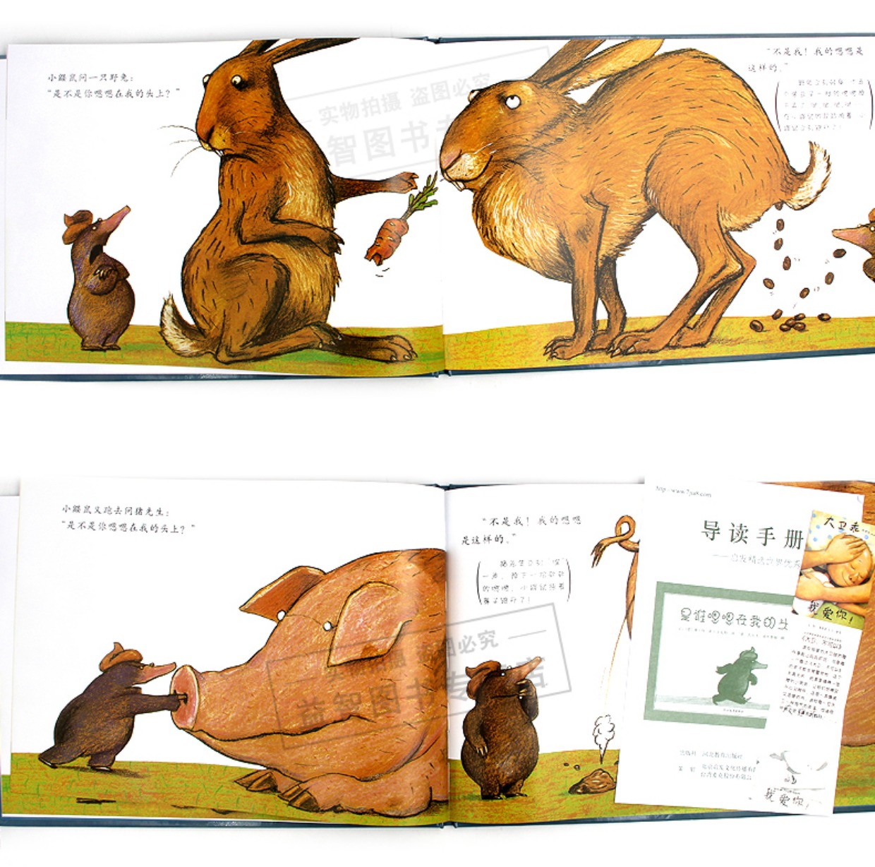 亲子情商绘本故事图画书0-2-3-4-5-6-8岁是谁嗯嗯在我的头上(精)_7折