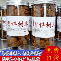 Bubble water ready-to-use special grade black gold birch tree furry grain cut block 250g wild long white mountain birch brown pore fungus white birch powder