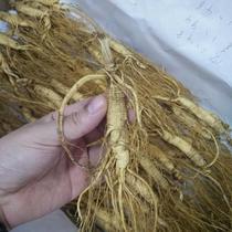 Mountain ginseng Northeast Forest Ginseng Changbai Mountain Wild Ginseng Mountain Ginseng Wild Ginseng 8-year-old dried ginseng Raw and sun-dried ginseng