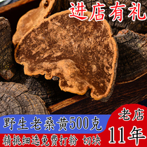 Bubble Water Tea Health Preservation Supplements Long White Hills Wild Mulberry Trees Sanhuangte Class 500 gr Gift Boxes Authentic Samhuang Lingzhi Tea