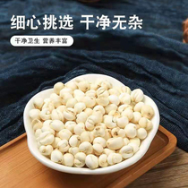 Long white mountain fritillary fritillary Mibechuan fritillary pink tip fritillaria 500 gr 1 catty to grow Chinese herbal medicine