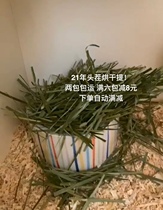 Ball ball sauce in stock 21 years old stubble young spike premium dried grass dried Beitiguo forage Timothy grass