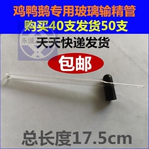New glass vas deferens for chicken Immune dropper chicken Artificial insemination Vas deferens breeding equipment