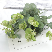 INS pendulum leaf props simulation eucalyptus leaf photography props photo decoration green plant background