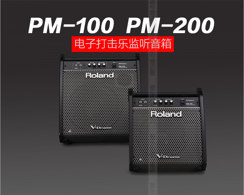 Акустическая система Roland PM100 PM03 PM-200 PM10 Акустическая система Roland PM100 PM03 PM-200 PM10