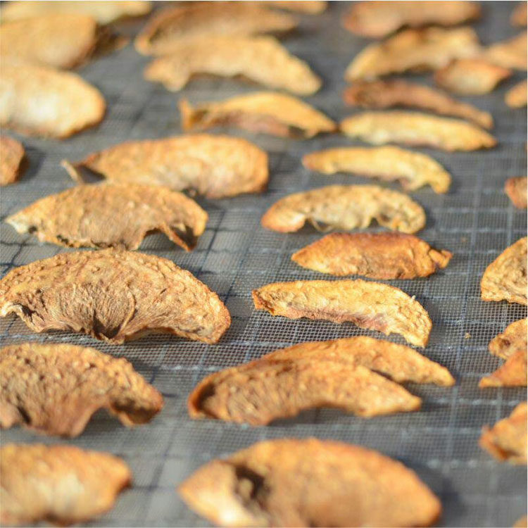 丽江雪桃干云南特产果脯蜜饯农家自晒办公零食水果干包邮