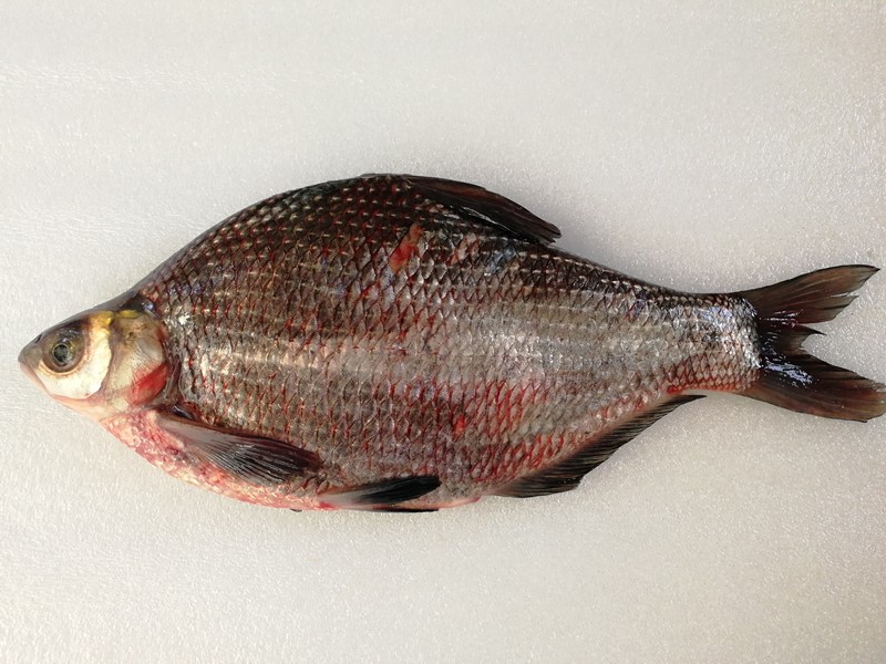 发货区域京津冀