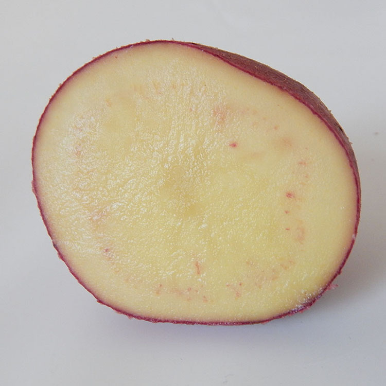 新鲜西吉土豆宁夏固原马铃薯5斤农家自种冷凉蔬菜红皮黄心洋芋包y