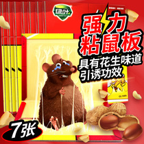 Green leaf strong sticky mouse board Mouse glue anti-rat clip anti-rat device Household mousetrap 7 pieces