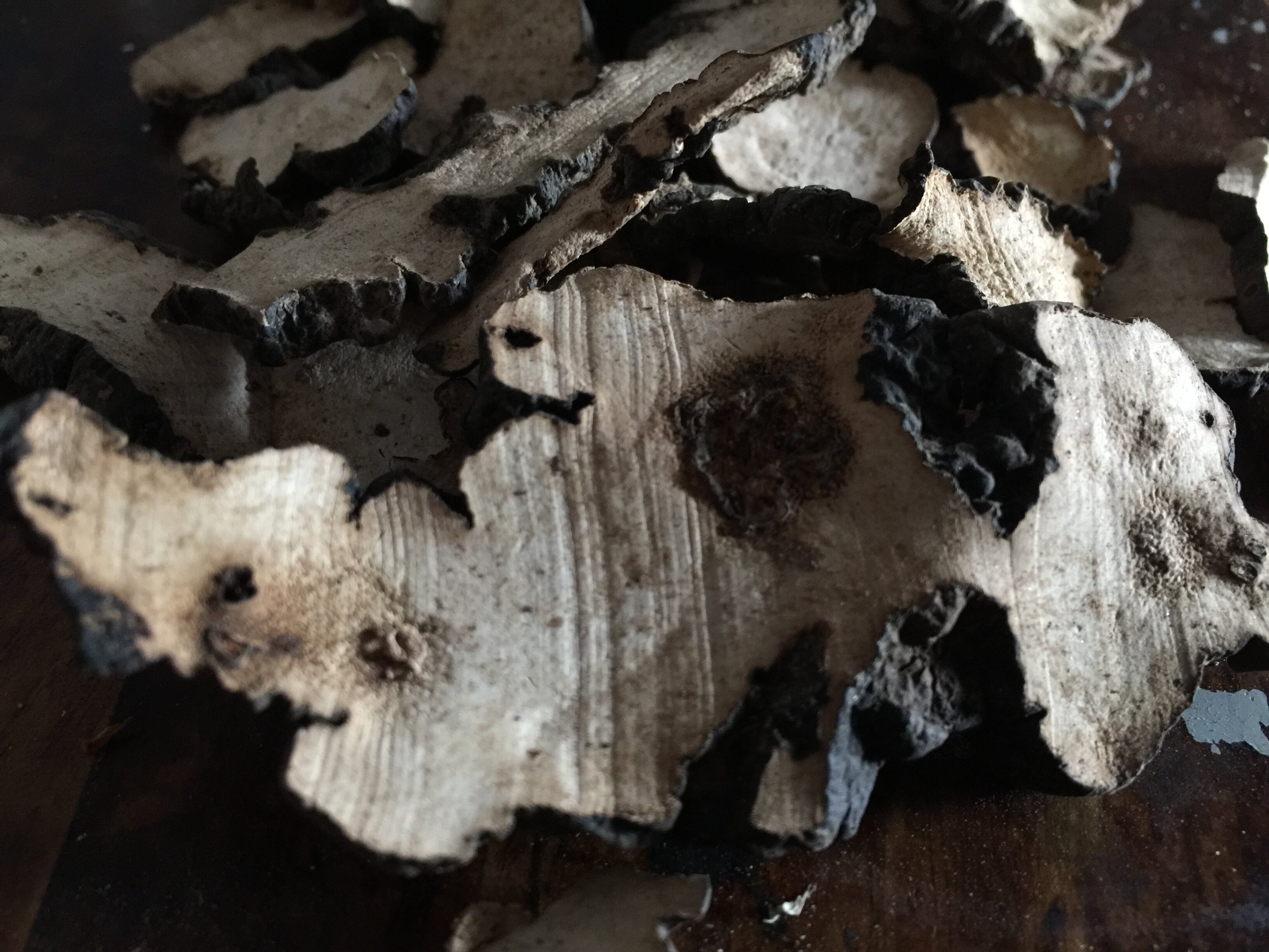 正品 野生猪苓片 朱苓中药材猪苓孔菌野生药用真菌无硫磺熏500g