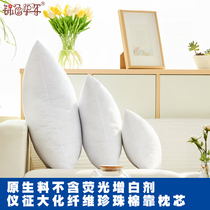 Fabric pillow cushion core pearl cotton filling zipper adjustable cotton filling sofa bedside backrest cushion multi-specification