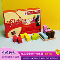 Spatial Probation Puzzle Bowen Zhixing Whole Brain Development Game Card Early Teaching Props Childhood Toys