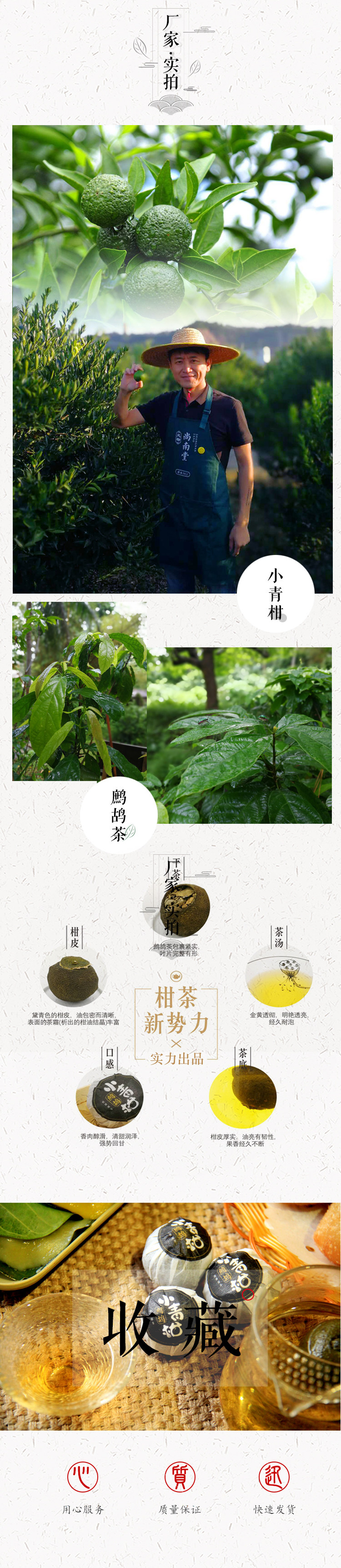 鹧鸪小青柑Q版 海南鹧鸪茶伴手礼