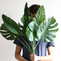 Nordic wind simulation turtle leaf paradise bird leaf banana leaf ins Wind Flower arrangement wedding home green plant