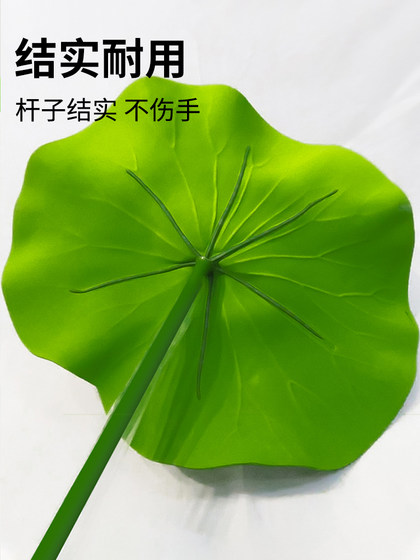 Little Lotus Leaf Dance Props into Lotus Classical Dance Hand Holding Mimulation Lotus Leaf Kinder Green Leaf Performance Little Lotus Leaf Dance Props into Lotus Classical Dance Hand Holding Mimulation Lotus Leaf Kinder Green Leaf Performance