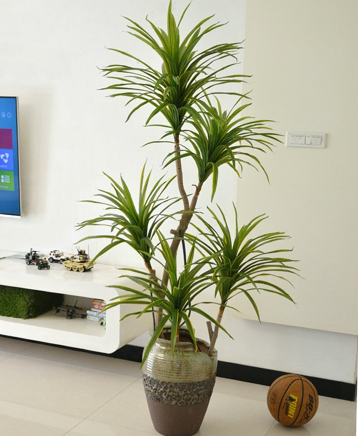 仿真植物树大型落地盆栽景龙血铁好评好店