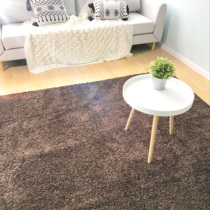 Day Style Pure Color Living-room Long Hair Carpet Sofa Tea Table Bedroom Bedside Vegan Color Modern Minimalist Home Ground Mat Clear