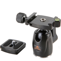 Wittley 25H Micro single camera tripod Gimbal Portable Tripod Canon Tripod bracket Micro single universal type