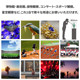 일본 Pentax Pentax 망원경 Papilio II 매크로 곤충 거울 고전력 HD 어린이 야외 휴대용 일본 Pentax Pentax 망원경 Papilio II 매크로 곤충 거울 고전력 HD 어린이 야외 휴대용