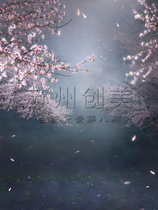 Studio photography background paper film and television costume myth background cloth three lives three miles peach blossom pz-926 white light