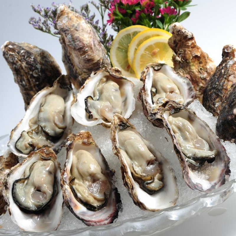 秦皇岛特产渤海湾野生冷水生蚝保肥5斤京津冀包邮 秦皇岛特产渤海湾野生冷水生蚝保肥5斤京津冀包邮