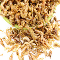 Hamster food hamster loves natural fresh water small shrimp dry economy 25g buy 4 get 1