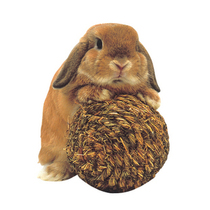 Hamster rabbit Chinchilla guinea pig squirrel Devil King toy grass ball