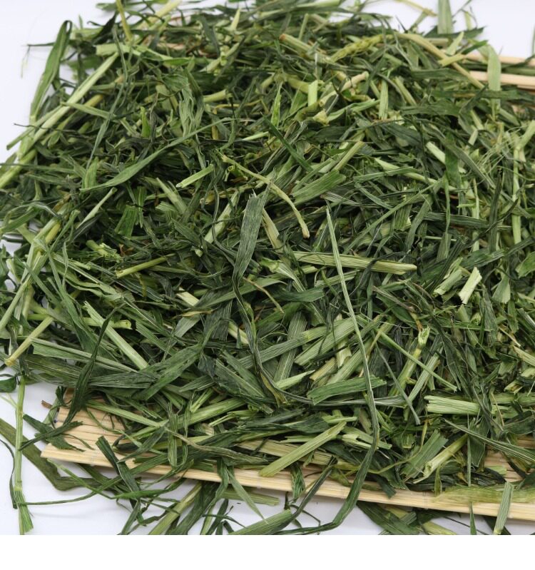 2017优质大麦草段 500g 兔子豚鼠龙猫牧草富含粗纤维 3件包邮_双氙