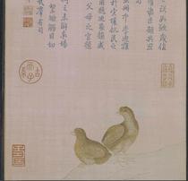 Qingqian Long Mao Chick Chick Chicks To Be Fed Ultra High Qing Electronic Picture Decorative Spray Painting Appraisal of Imitation Material