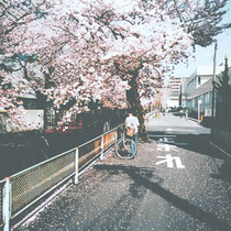 Shipping price difference