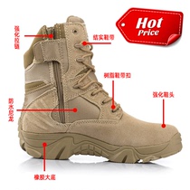 Outdoor High Help Tactical Boots Desert Boots Combat Boots Combat Training Shoes Breathable Flight Boots Male Delta Autumn 51