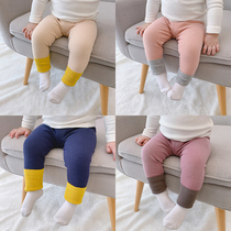 Baby leggings autumn and winter female baby pants pure cotton spring and autumn wear 0-1 one-year-old foreign style open gear autumn children