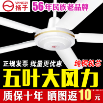 Yangzi brand five-leaf big wind ceiling fan silent household living room high-power industrial hanging hanging electric fan big fan