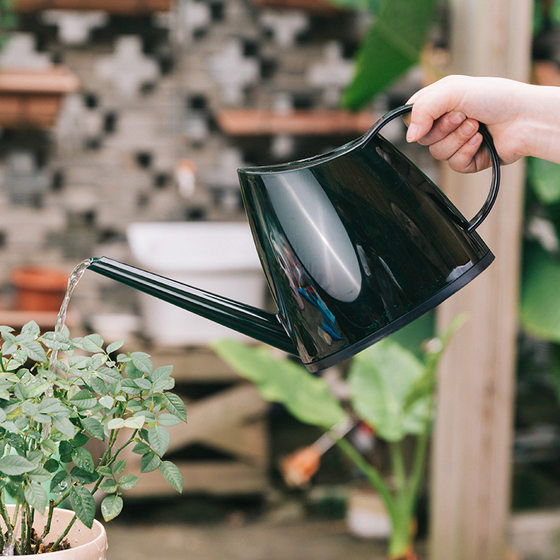 Poor sprinkler kettle garden art small spray kettle household long mouth pouring flower pot to raise flowers pointed mouth watering kettle watering artifact Poor sprinkler kettle garden art small spray kettle household long mouth pouring flower pot to raise flowers pointed mouth watering kettle watering artifact