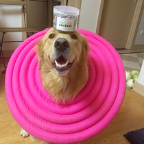 (Special for sick number) Fa Ge with super soft pearl cotton anti-bite Elizabeth anti-bite and anti-licking