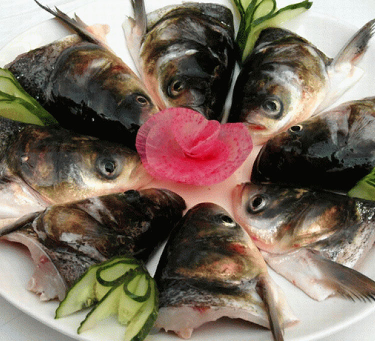 丹江口新鲜淡水鱼胖头鱼鱼头 花鲢鱼头鳙鱼大头鱼鱼头3斤起拍顺丰