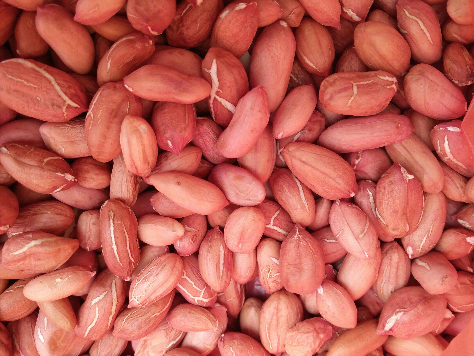 大花生米 生花生花生仁 山东新花生 有机落花生 5斤包邮2500克