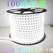 LED light belt 220v construction site tunnel light 2835-5730 double row waterproof high-brightness white light warm light engineering light belt