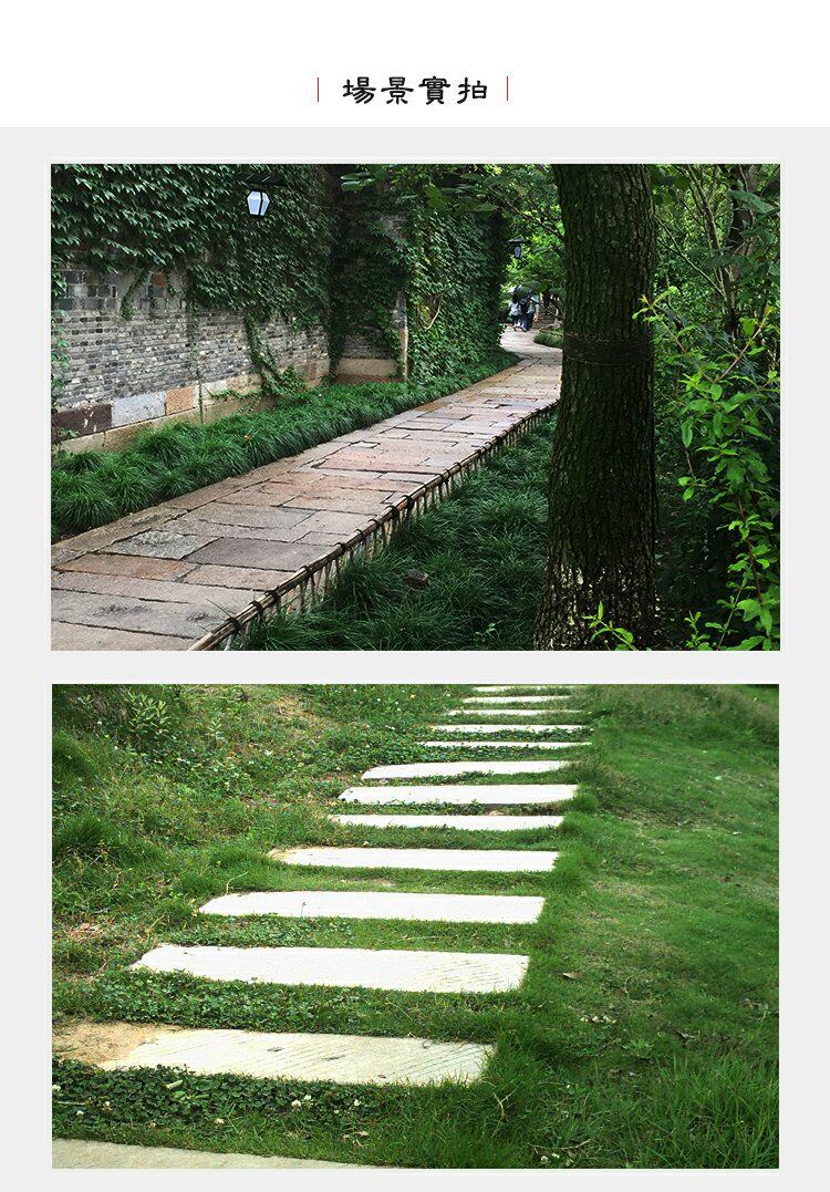 老石条铺路石板旧石板踏步石台阶别墅庭院铺地石踏步石汀步石条子