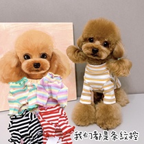 Pet cat and dog clothes color striped cotton base shirt wild wild match inside suit VIP Teddy