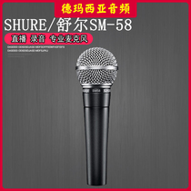 Shure SM58S SM58 professional vocal dynamic microphone microphone outdoor performance