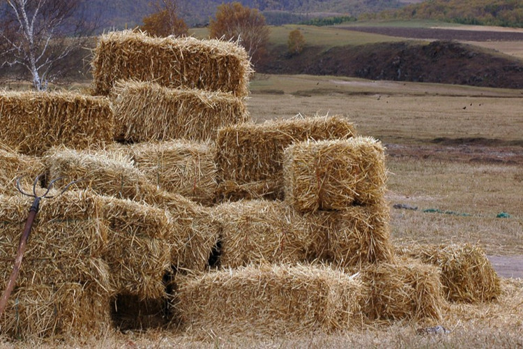 草垛干稻草装饰 婚礼道具 方形草垛 圆柱草垛子草垫