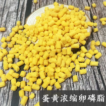 Honey bag squirrel flying squirrel flower branch rat nutritional snack beauty hair bright hair soft phospholipid concentrated egg yolk lecithin granules